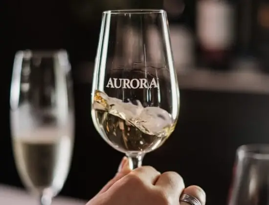 modelo imagem dos roteiros aurora